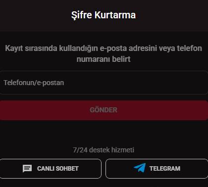 Şifre veya giriş bilgisi kaybedildiğinde kullanılacak kurtarma seçeneklerinin gösterimi ve yönergeler